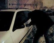 На Ставрополье задержан подросток за серию краж из автомобилей