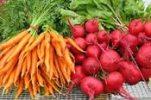 Применение ботвы редиски, свеклы и моркови