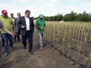 Плодопитомник в 300 гектаров планируют построить на Ставрополье