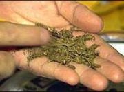 На Ставрополье у пассажира такси обнаружили полкило марихуаны