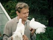 Ставропольцы выбрали для коллективного просмотра фильм «Любовь и голуби»