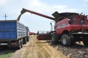 На Cтаврополье прогнозируется урожай до 9 миллионов тонн зерновых