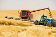 На Ставрополье собрано свыше 7 миллионов тонн зерновых