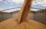 Глава края предложил расширить селянам возможности для экспорта зерна