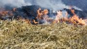 Чрезвычайная пожароопасность сохранится в нескольких районах Ставропольского края