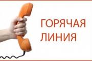 В день выборов на Ставрополье «горячая линия» приняла один звонок