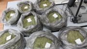 У жителя Ставрополья полицейские изъяли 10 килограммов марихуаны