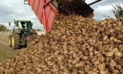 Более 108 тысяч тонн овощей собрано на Ставрополье