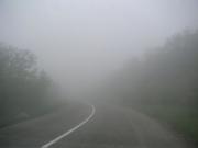 На Ставрополье ожидается туман и сильный ветер
