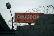В Ставропольском крае за полгода по амнистии освобождены более 6 тысяч человек