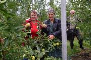 В Ставропольском крае стало больше садов и виноградников