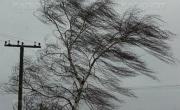 В Ставропольском крае ожидается штормовой ветер