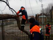 В Ставрополе сильный ветер сломал новогоднюю ель