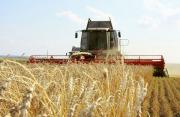 Ставропольские аграрии наметили планы на 2016 год