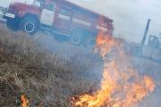 С начала года на Ставрополье произошло 1500 возгораний сухой растительности
