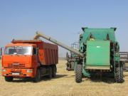 Минсельхоз края: Уборка урожая на Ставрополье будет проходить в сложных условиях