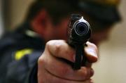 Ставропольские полицейские использовали табельное оружие, чтобы остановить пьяного водителя