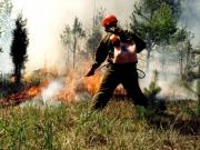 В некоторых районах Ставрополья 28-30 июня — высокая пожароопасность