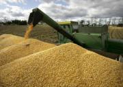 Почти четыре миллиона тонн зерна собрали в Ставропольском крае
