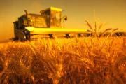 Ставропольские аграрии собрали около 5,3 миллионов тонн зерна