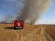 Ставропольские пожарные  потушили пшеничное поле