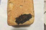Жительница Невинномысска обнаружила в хлебе летучую мышь