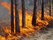 В некоторых районах Ставрополья 30-31 июля ожидается чрезвычайная пожароопасность