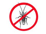 Как избавиться от насекомых и грызунов