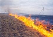 В восточных районах Ставрополья ожидаются природные пожары