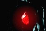 Биологический кардиостимулятор из клеток пациента - реальная перспектива