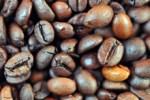 Кофейные зерна содержат в себе ключ к снижению веса