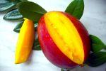 Манго - вкусный и полезный фрукт