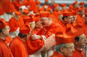 Самозванец переодетый епископом пробрался на встречу кардиналов