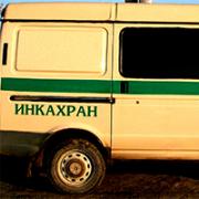Сотрудник инкассаторской компании похитил 40 млн рублей
