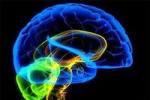 Заболевания мозга скоро опередят сердечно-сосудистые и онкологические заболевания