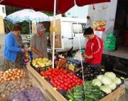 В Ставрополе стартовала акция «Овощи к подъезду»