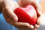 Хорошее состояние сердца гарантирует хорошее состояние мозга