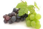 Как получить максимум полезных веществ с виноградных косточек?