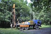 В Ставрополе пресечена вырубка деревьев и строительство в Таманской лесной даче