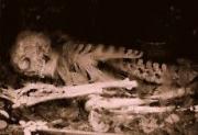 В ставропольской речке нашли скелет человека, погибшего более 10 лет назад