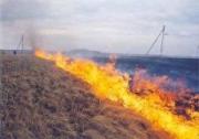 На Ставрополье увеличилось количество ландшафтных пожаров