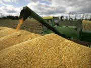 На Ставрополье собран первый миллион тонн зерновых урожая -2016