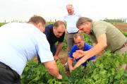 Минсельхоз: В Левокумском районе восстановлены практически все виноградники