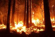 В некоторых районах Ставрополья 12-14 августа прогнозируется чрезвычайная пожароопасность